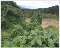  2024Ÿ��123155 ��� ��õ�� û��� ������ 150      ����(��1)���