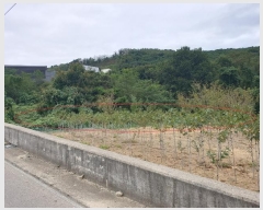  2024Ÿ��123155 ��� ��õ�� û��� ������ 150      ����(��1)���