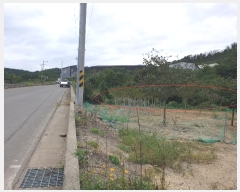  2024Ÿ��123155 ��� ��õ�� û��� ������ 150      ����(��1)���