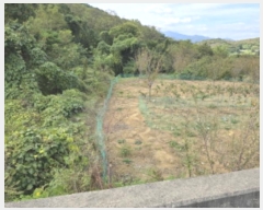  2024Ÿ��123155 ��� ��õ�� û��� ������ 150      ����(��1)���