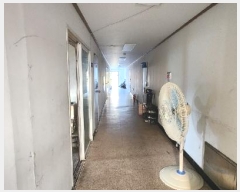  2024Ÿ��124813  ������