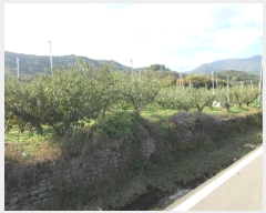  2024Ÿ��125564  ���������