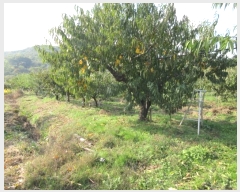  2024Ÿ��125564  ���������