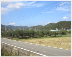  2024Ÿ��125564  ���������