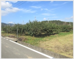  2024Ÿ��125564  ���������