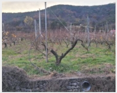  2024Ÿ��125564  ���������