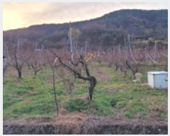  2024Ÿ��125564  ���������