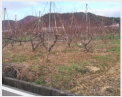  2024Ÿ��125564  ���������