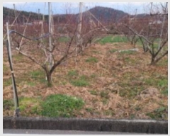  2024Ÿ��125564  ���������