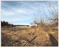  2024Ÿ��127065 ��� ���� �з��� ���� 498-3      ����(��)���