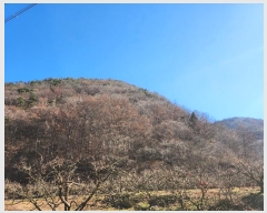  2024Ÿ��128037 ��� û���� ������ ���긮 ��297      ����(�Ӿ�)���