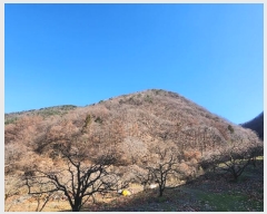  2024Ÿ��128037 ��� û���� ������ ���긮 ��297      ����(�Ӿ�)���