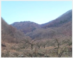  2024Ÿ��128037 ��� û���� ������ ���긮 ��297      ����(�Ӿ�)���