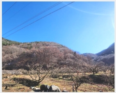  2024Ÿ��128037 ��� û���� ������ ���긮 ��297      ����(�Ӿ�)���