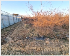  2024Ÿ128143  õ  8-12       ()