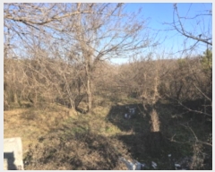  2024Ÿ128143  õ  8-12       ()