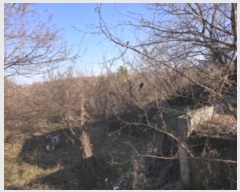  2024Ÿ128143  õ  8-12       ()