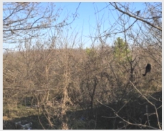  2024Ÿ128143  õ  8-12       ()