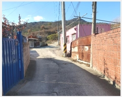  2024Ÿ128686  ĥ   770      ()