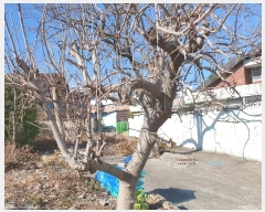  2024Ÿ128686  ĥ   770      ()