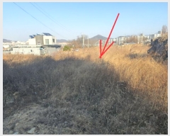  2024Ÿ��129016  ����