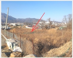  2024Ÿ��129016  ����