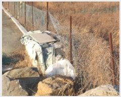  2024Ÿ��129016  ����