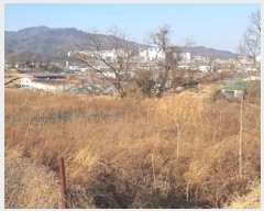  2024Ÿ��129016  ����