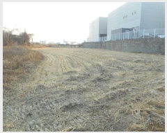  2024Ÿ��129856 ��� ĥ� ������ �ݾϸ� 201      ����(��)���