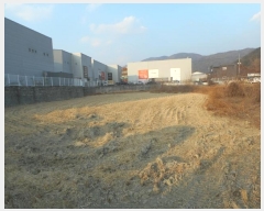  2024Ÿ��129856 ��� ĥ� ������ �ݾϸ� 201      ����(��)���