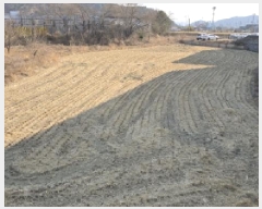  2024Ÿ��129856 ��� ĥ� ������ �ݾϸ� 201      ����(��)���