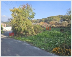  2024Ÿ9402  ĥ  긮 1025      ()