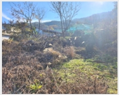  2024Ÿ9402  ĥ  긮 1025      ()