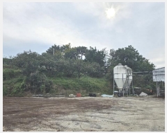  2024Ÿ��9518 ��� ���� ���θ� ���θ� 413      ����(�Ӿ�)���