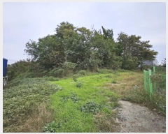  2024Ÿ��9518 ��� ���� ���θ� ���θ� 413      ����(�Ӿ�)���