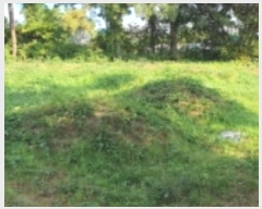  2024Ÿ��9518 ��� ���� ���θ� ���θ� 413      ����(�Ӿ�)���