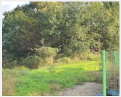  2024Ÿ��9518 ��� ���� ���θ� ���θ� 413      ����(�Ӿ�)���