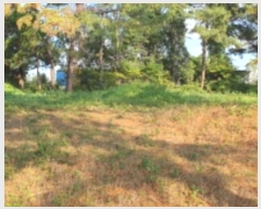  2024Ÿ��9518 ��� ���� ���θ� ���θ� 413      ����(�Ӿ�)���