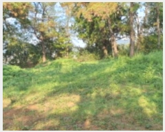  2024Ÿ��9518 ��� ���� ���θ� ���θ� 413      ����(�Ӿ�)���