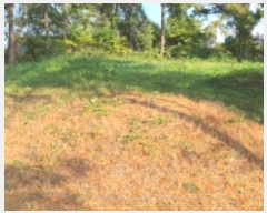  2024Ÿ��9518 ��� ���� ���θ� ���θ� 413      ����(�Ӿ�)���