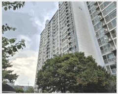  2024Ÿ��9921  ����Ʈ���