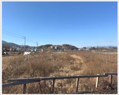  2024Ÿ10891  û ȭ  461      ()