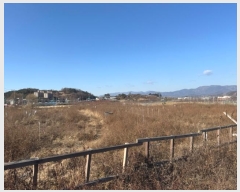  2024Ÿ10891  û ȭ  461      ()