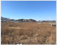  2024Ÿ10891  û ȭ  461      ()