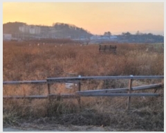  2024Ÿ10891  û ȭ  461      ()