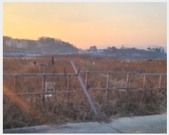  2024Ÿ10891  û ȭ  461      ()