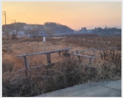  2024Ÿ10891  û ȭ  461      ()