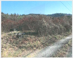  2024Ÿ11139     285      (1)