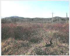  2024Ÿ11139     285      (1)