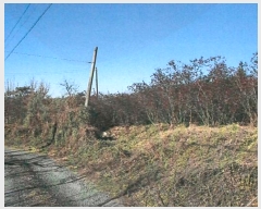  2024Ÿ11139     285      (1)